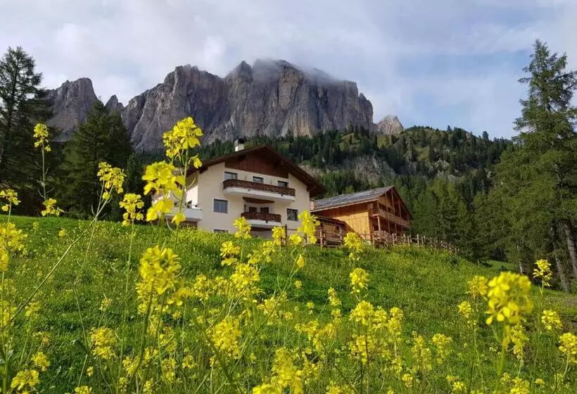 Majatalo Ciasa Roenn