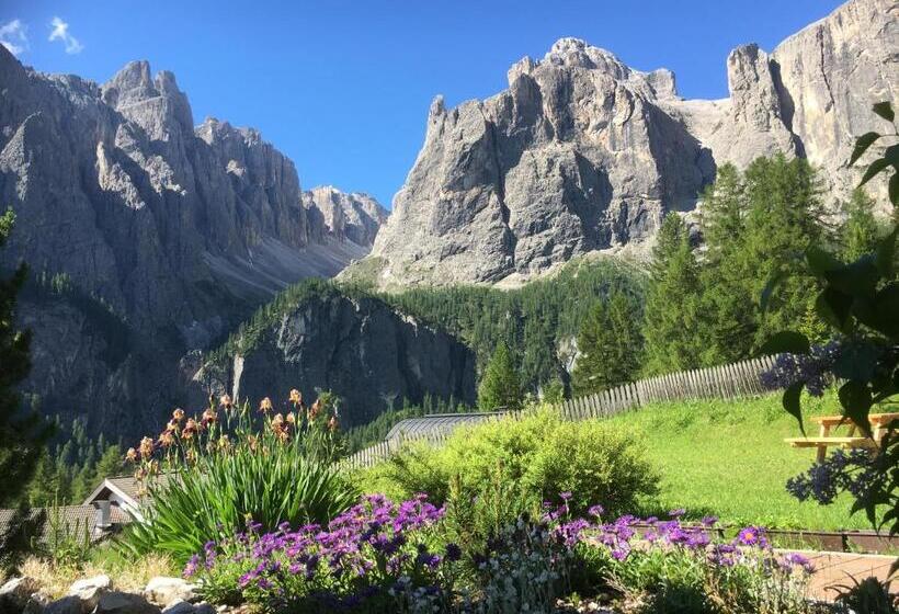 פנסיון Ciasa Roenn