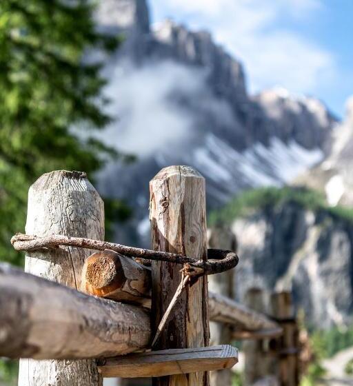 פנסיון Ciasa Roenn