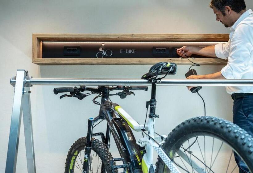 פנסיון Ciasa Roenn