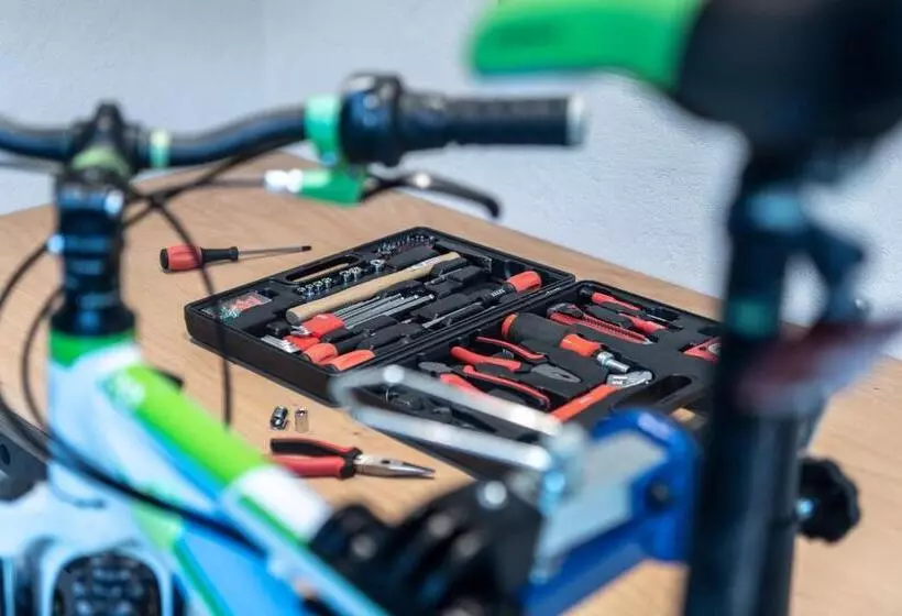 Majatalo Ciasa Roenn