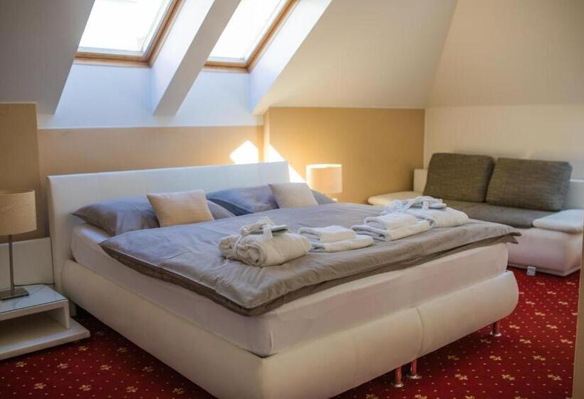 פנסיון Vila Jiřinka