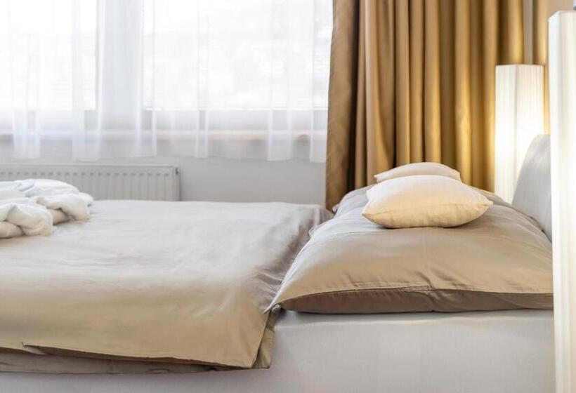 פנסיון Vila Jiřinka