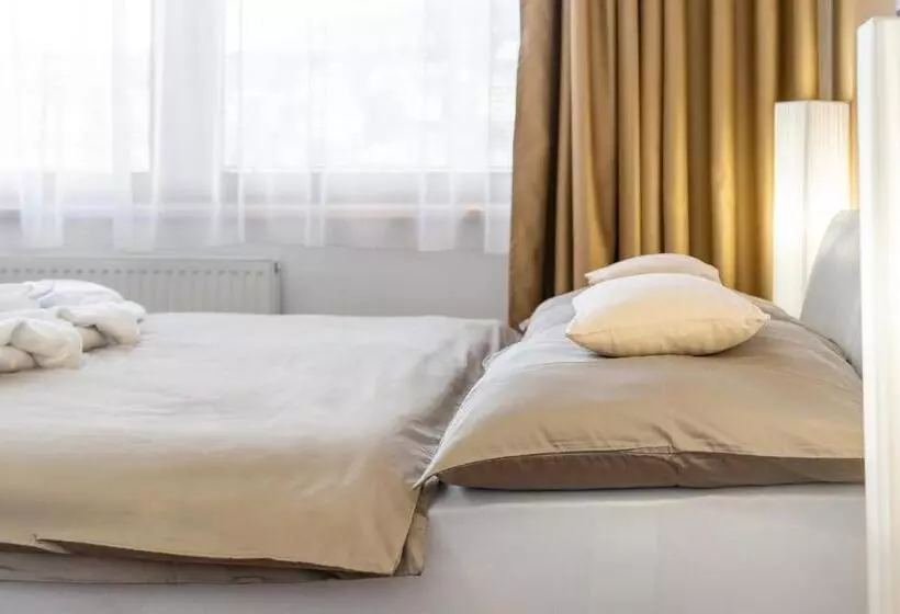 ペンション Vila Jiřinka