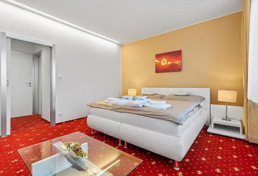 פנסיון Vila Jiřinka