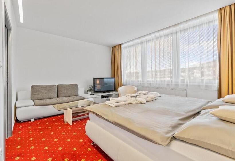 פנסיון Vila Jiřinka