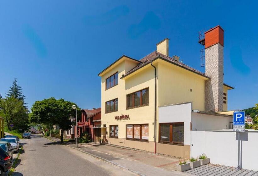 פנסיון Vila Jiřinka