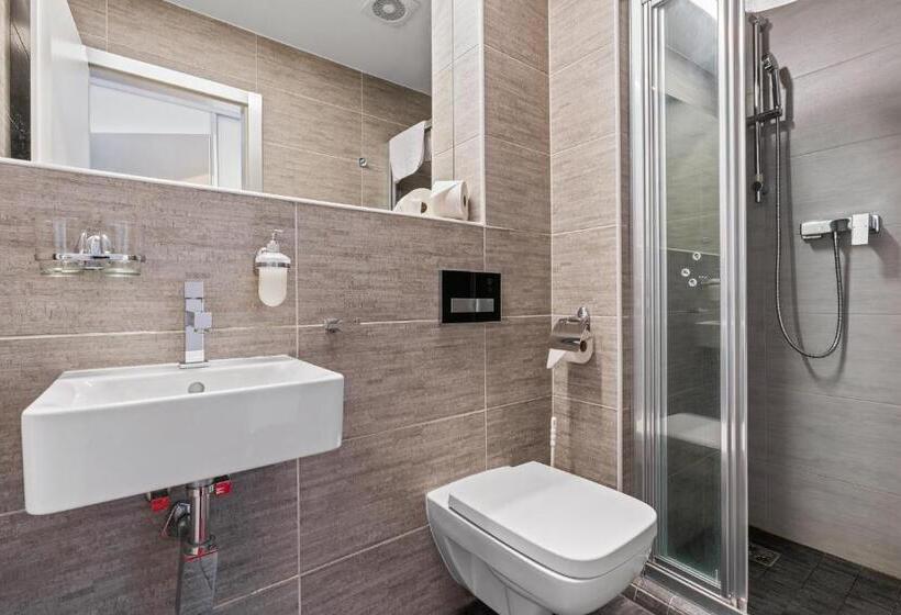 פנסיון Vila Jiřinka