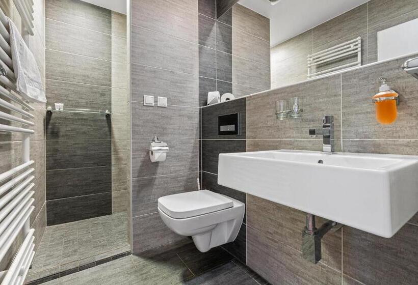 פנסיון Vila Jiřinka