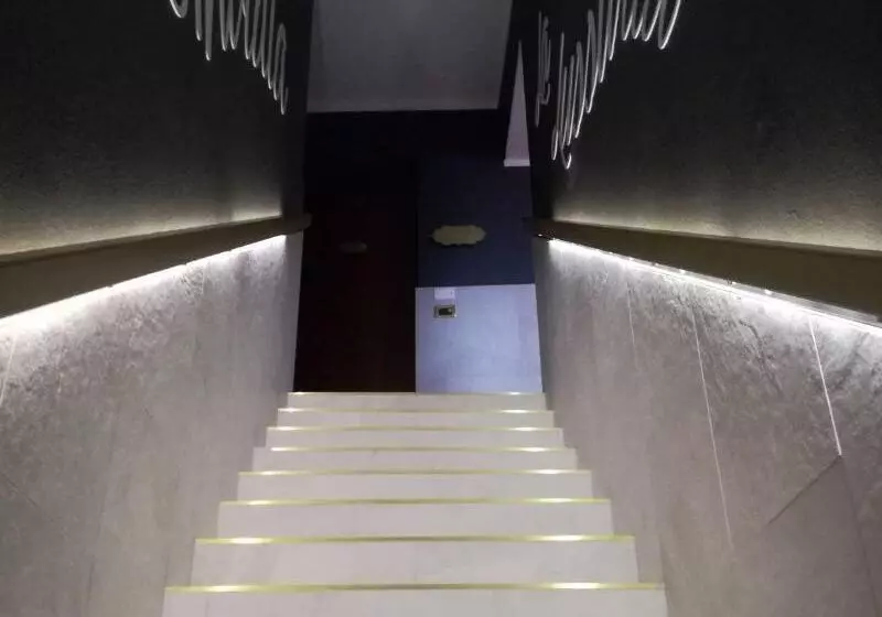 هتل B&b 7 Vizi