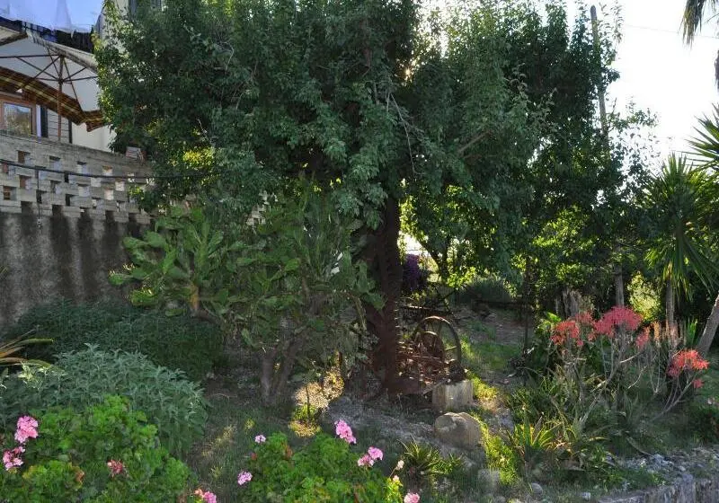 Hotelli Il Terrazzo Sul Sinni