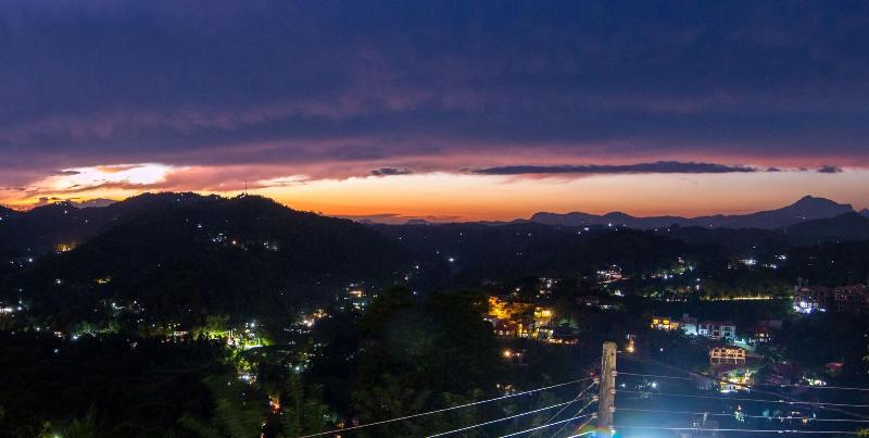 Hotel Jack Tree Lodge