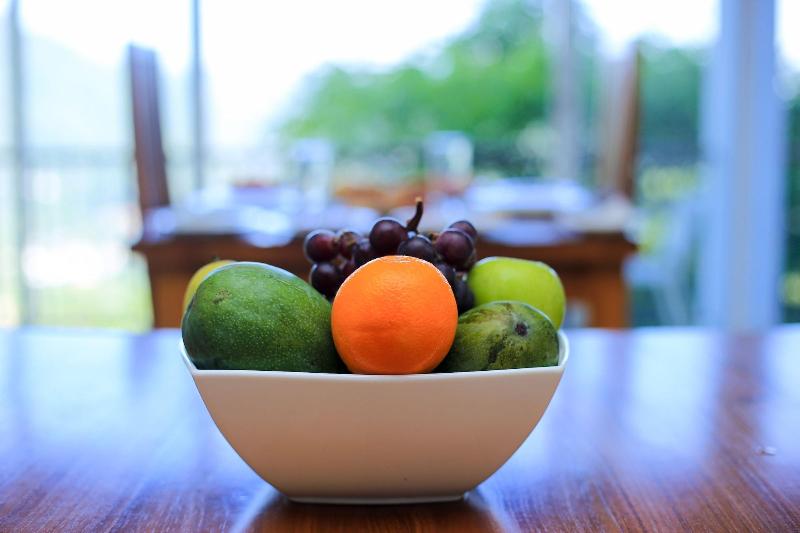 Hotel Jack Tree Lodge