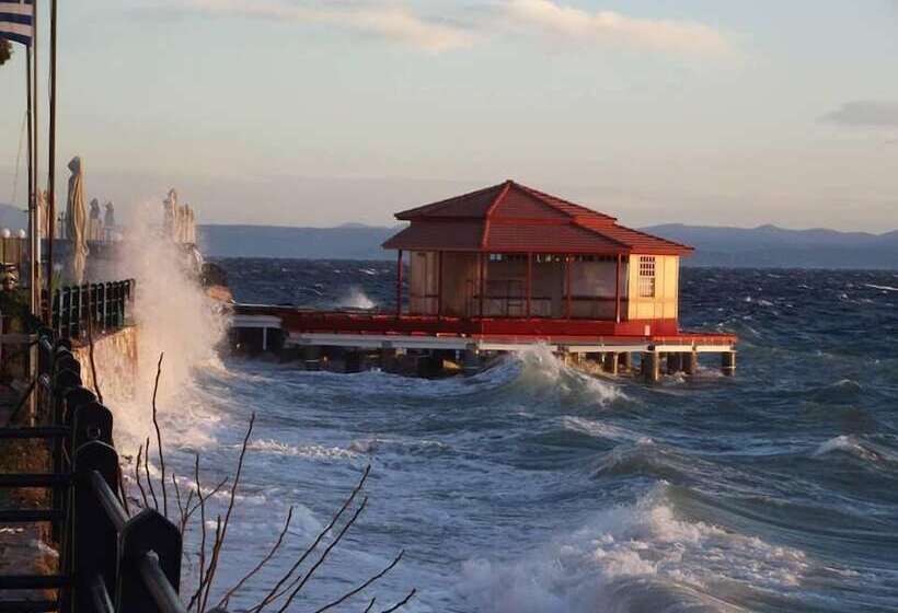 فندق Maravellia Art