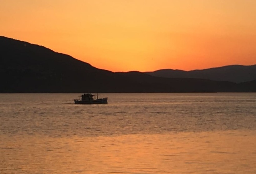 فندق Maravellia Art