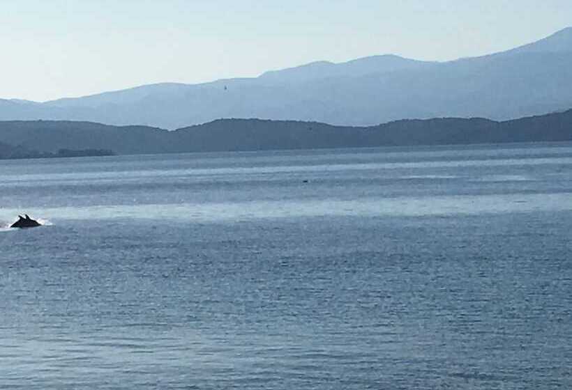 فندق Maravellia Art