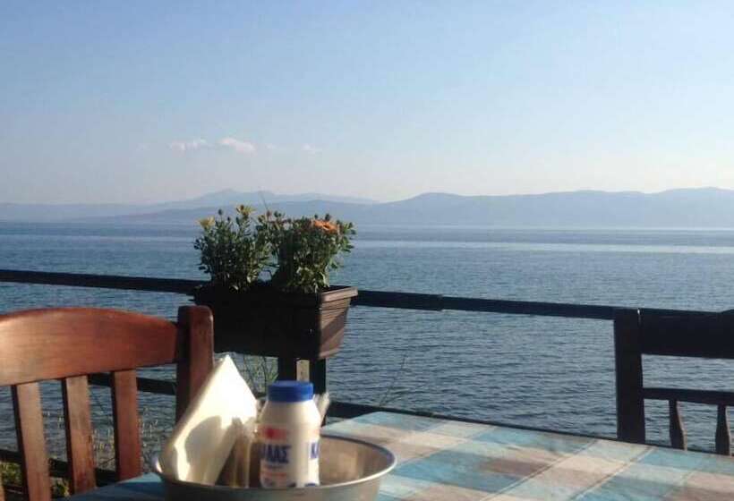 فندق Maravellia Art