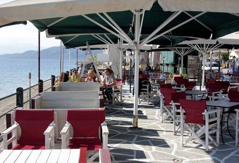 فندق Maravellia Art