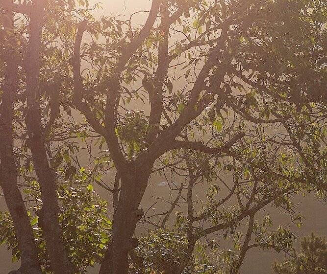 בית מלון כפרי Matusadona Guest Lodge