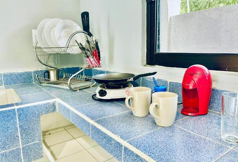 فندق Pal Cozumel