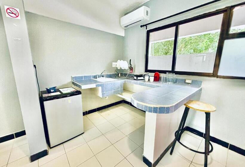 فندق Pal Cozumel