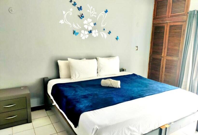 فندق Pal Cozumel