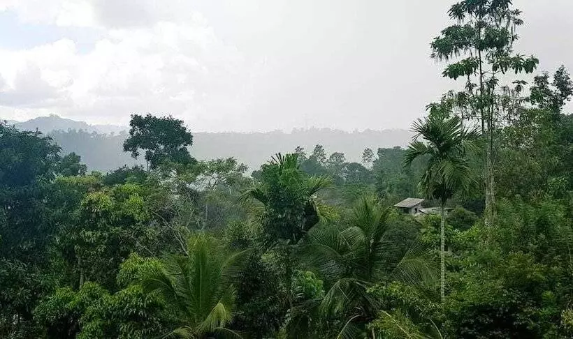 ホテル Tea Leaf Retreat