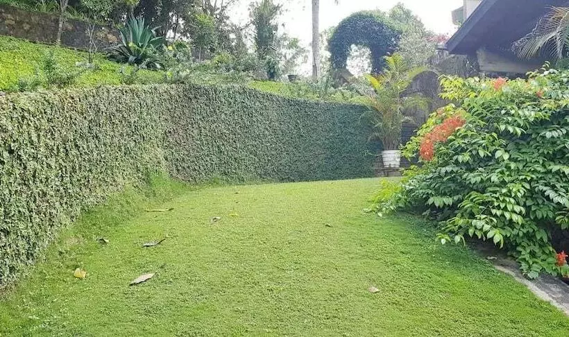 ホテル Tea Leaf Retreat