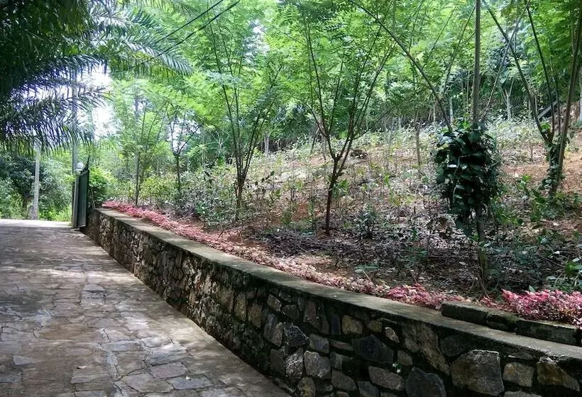 ホテル Tea Leaf Retreat