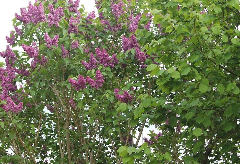 Delightful Apartment In Rerik Near Baltic Sea