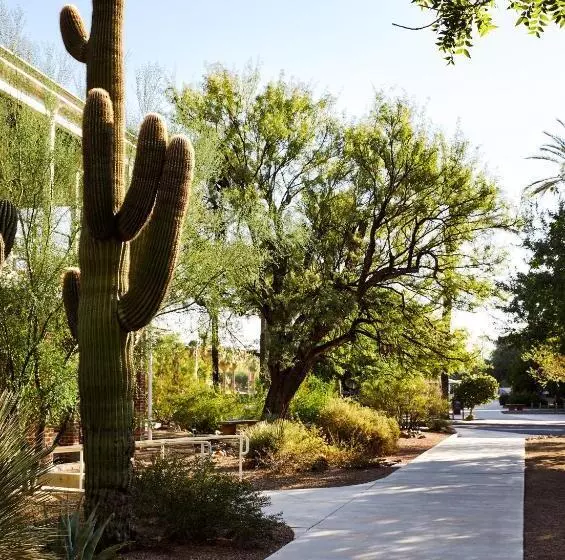 هتل Graduate By Hilton Tucson