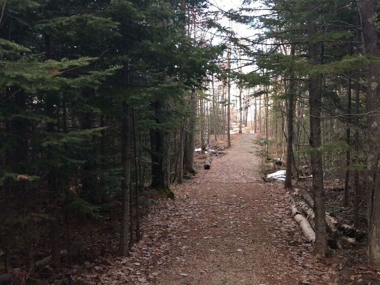 Sunshine Motel And Cabins