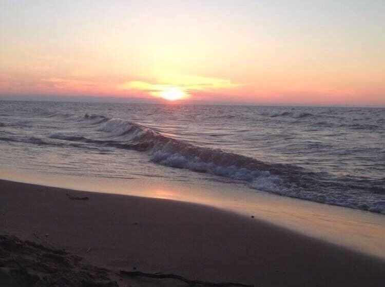 Sunshine Motel And Cabins