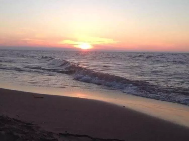 Sunshine Motel And Cabins