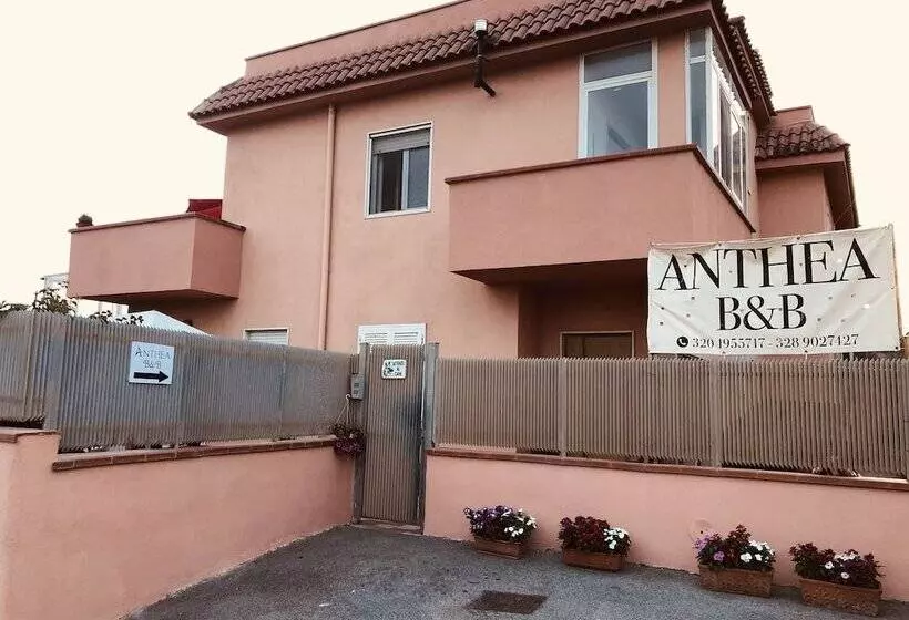 Anthea B&b