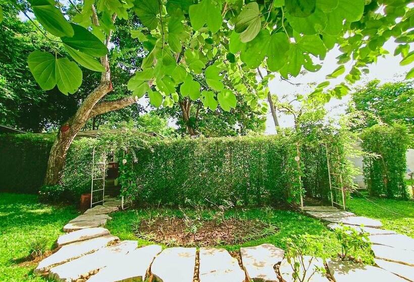 酒店 Resort Huangchui Baan Phu Khao