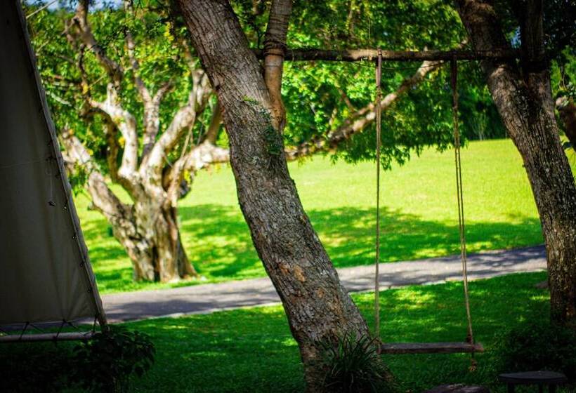 酒店 Resort Huangchui Baan Phu Khao