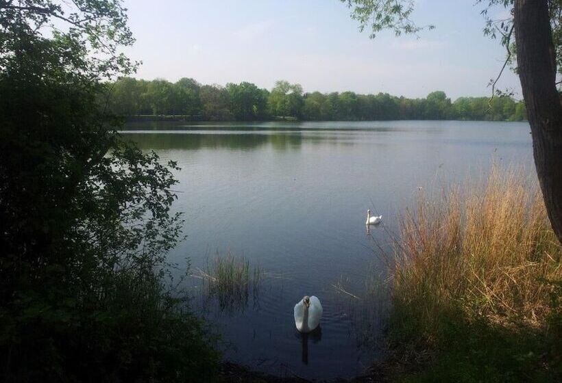 هتل Café Galerie   Smart Tv   Free Parking