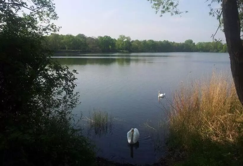 فندق Café Galerie Smart Tv Free Parking