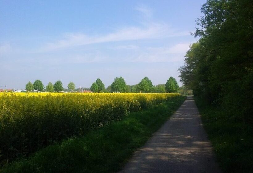 هتل Café Galerie   Smart Tv   Free Parking