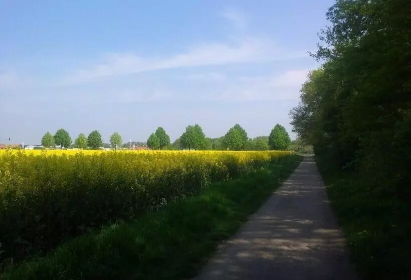 فندق Café Galerie Smart Tv Free Parking