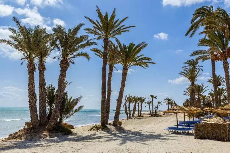 호텔 Hari Club Beach Resort