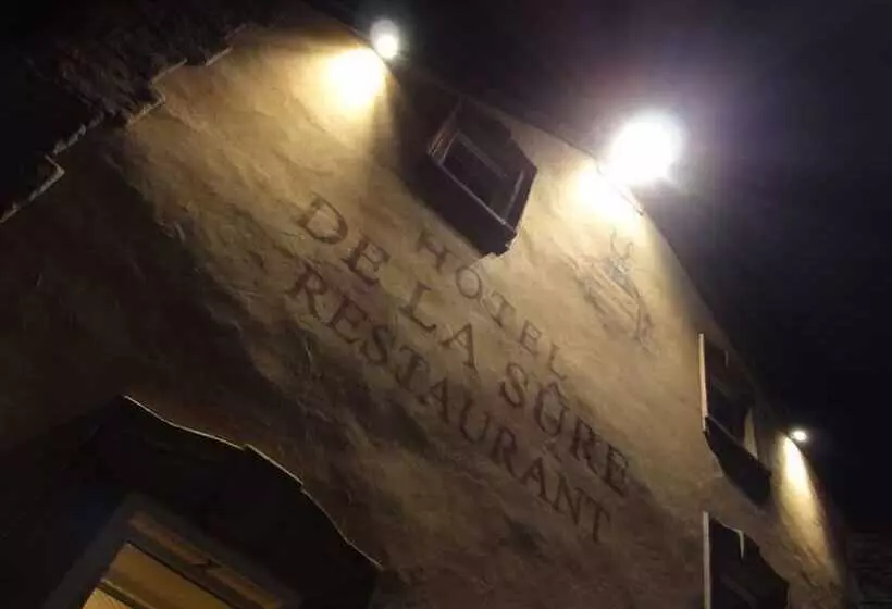 Logis Gourmet & Relax Hotel De La Sure