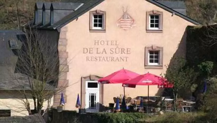 Logis Gourmet & Relax Hotel De La Sure