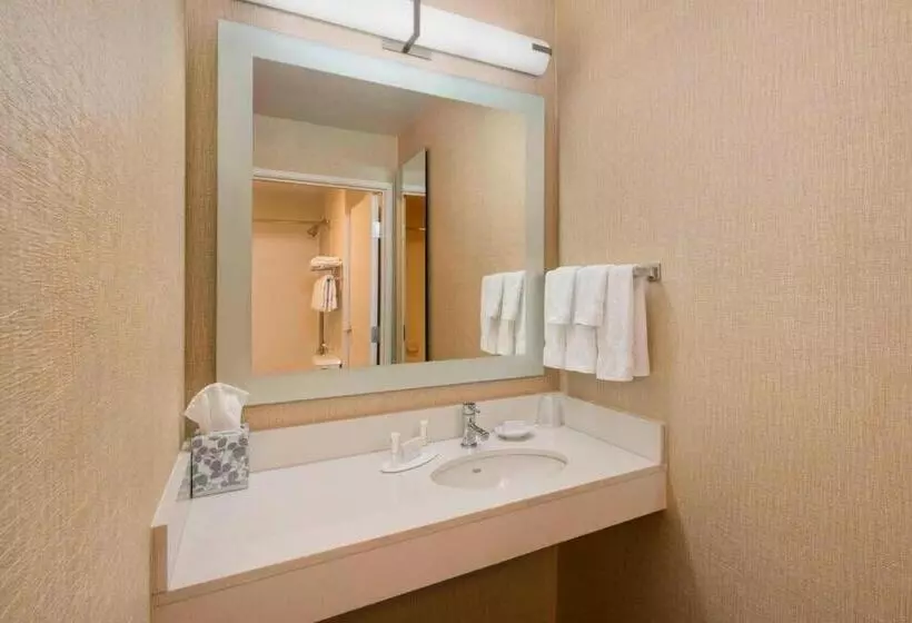 בית מלון כפרי Springhill Suites Mishawaka University Area