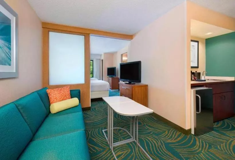 בית מלון כפרי Springhill Suites Mishawaka University Area