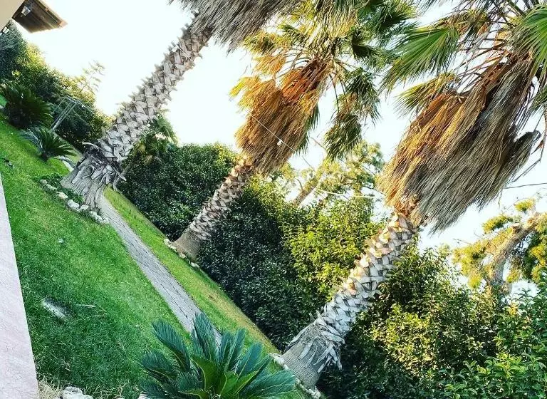 ホテル Masseria Cafora