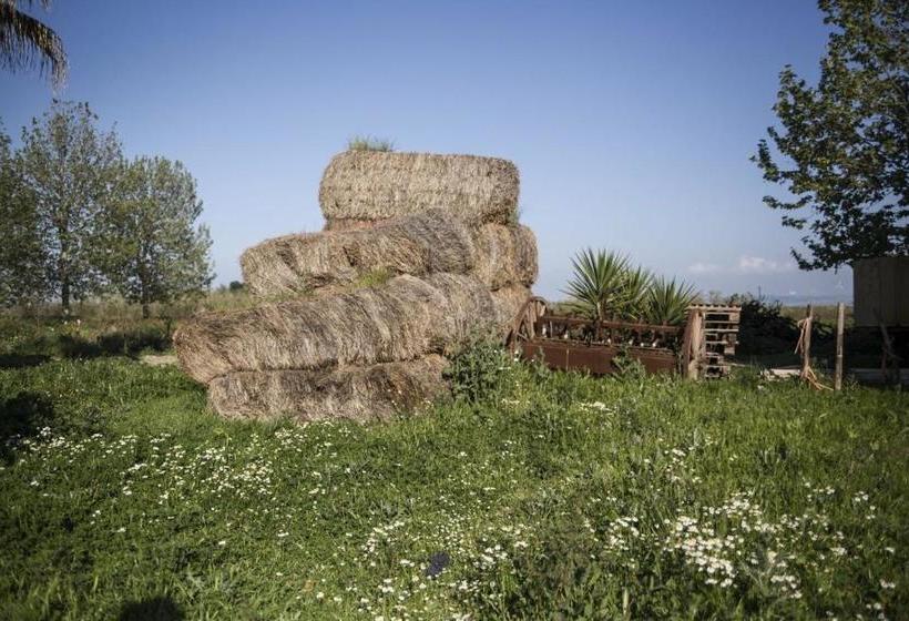 호텔 Masseria Cafora