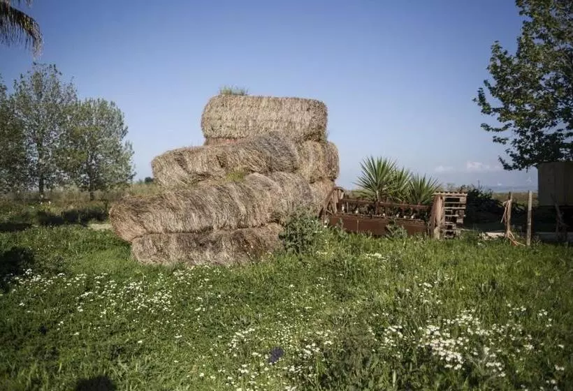 ホテル Masseria Cafora