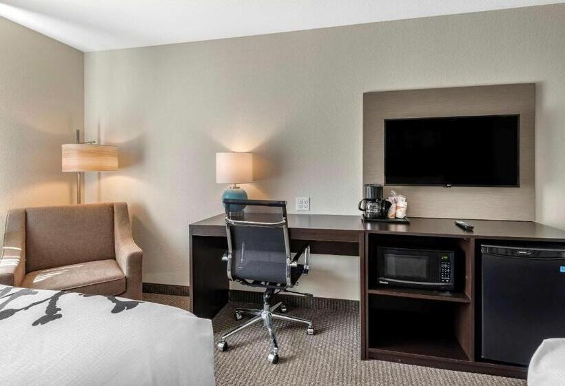 ホテル Sleep Inn Durango